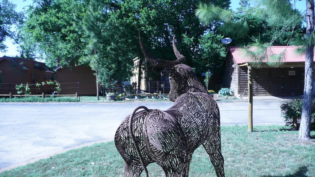 Rustic Creek Ranch Resort At North Jellystone Park バーレソン エクステリア 写真