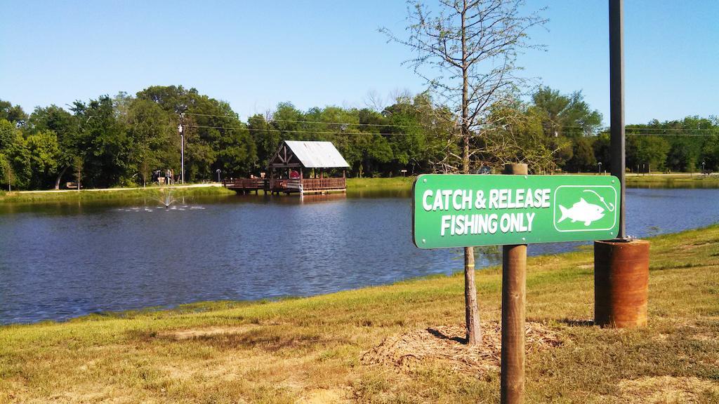 Rustic Creek Ranch Resort At North Jellystone Park バーレソン エクステリア 写真